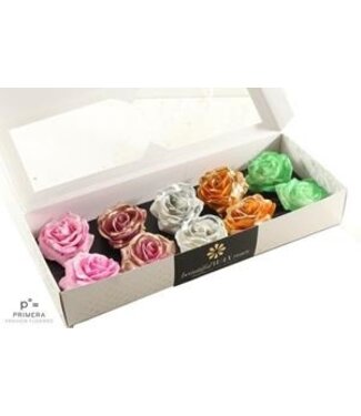 AD Mixed colours silk wax roses Blush Fantasy mix | Per 10 pieces