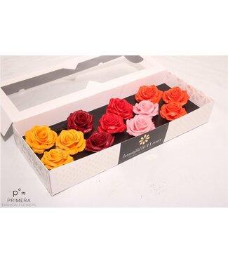 AD Mixed colours silk wax roses Moods Festival mix | Size M | Per 12 pieces