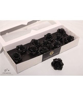 AD Black silk wax roses | Size M | Per 12 pieces