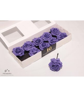 AD Milk-coloured silk wax roses | Per 10 pieces