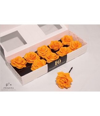 AD Roses en cire de soie couleur ocre | Par 10 pièces