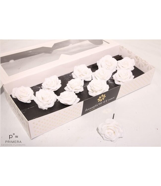 Snow white silk wax roses White Snow | Size M | 12 pieces per box | Order per box