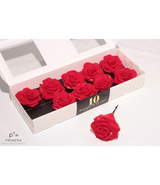 AD Red silk wax roses Red Velvet | Per 10 pieces