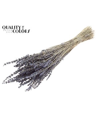 QC Lavendel Premium 100gr per bunch ( x 10 )