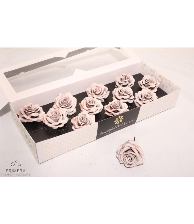 Light crystal pink silk wax roses | Size M | 12 pieces per box | Order per box