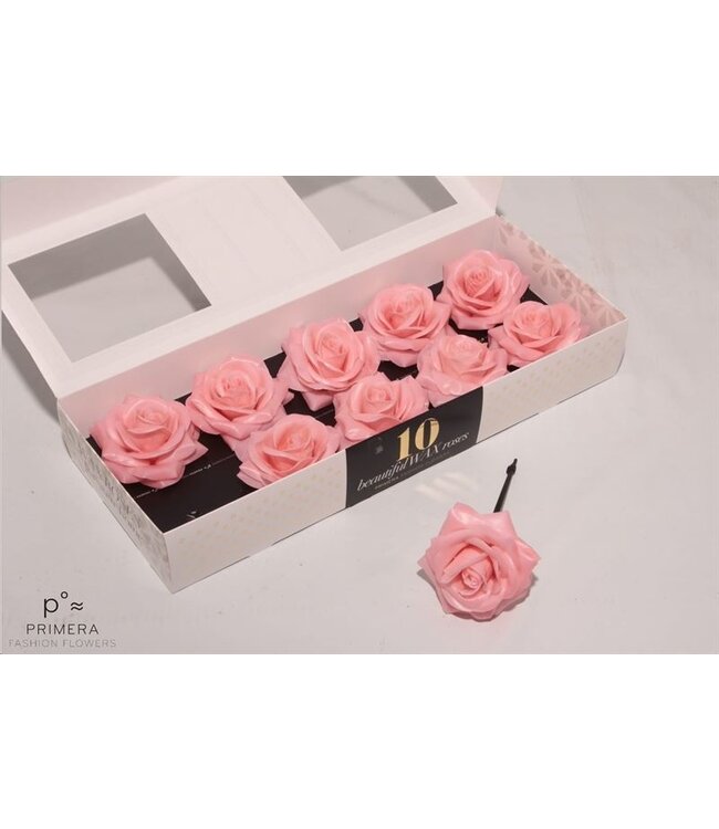 Apricot-coloured silk wax roses | 10 pieces per box | Available to order per box