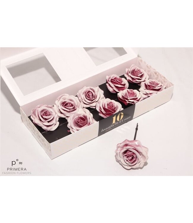 Witroze zijden waxrozen Bord Blush | 10 stuks per doos | Per doos te bestellen