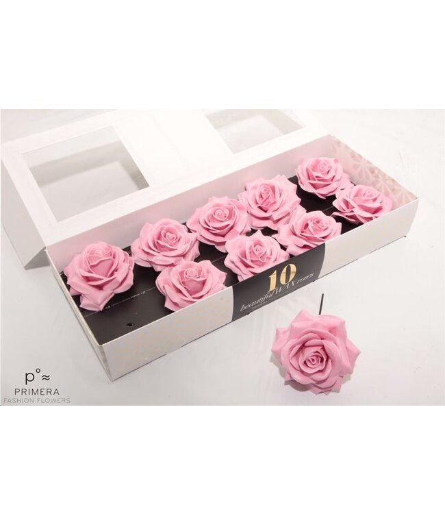 Light pink silk wax roses | 10 pieces per box | Available to order per box