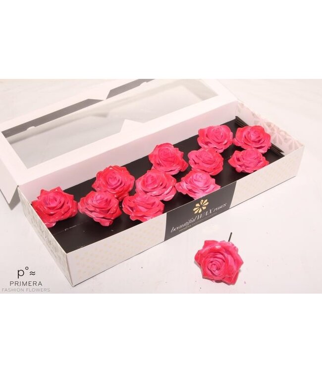 Red silk wax roses 9450 Pink Blush | Size M | 12 pieces per box | Order per box