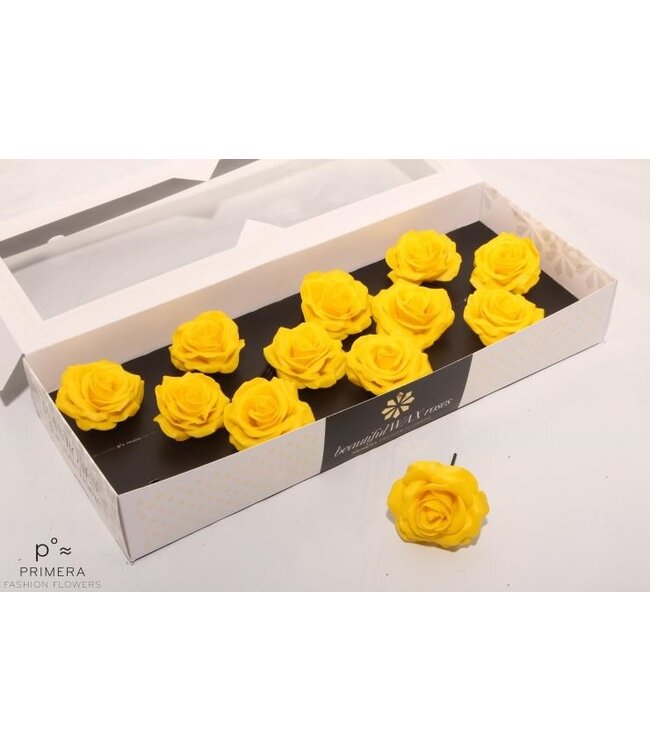 Roses en cire de soie jaune | Taille M | 12 pièces par boîte | À commander par boîte