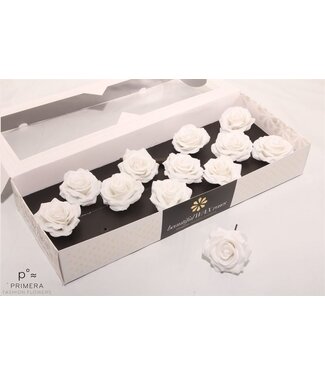 AD White silk wax roses | Size M | Per 12 pieces