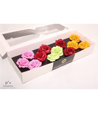 AD Mixed colours silk wax roses Moods Happiness mix | Size M | Per 12 pieces