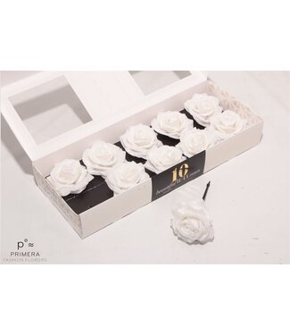 AD White silk wax roses White Diamond | Per 10 pieces