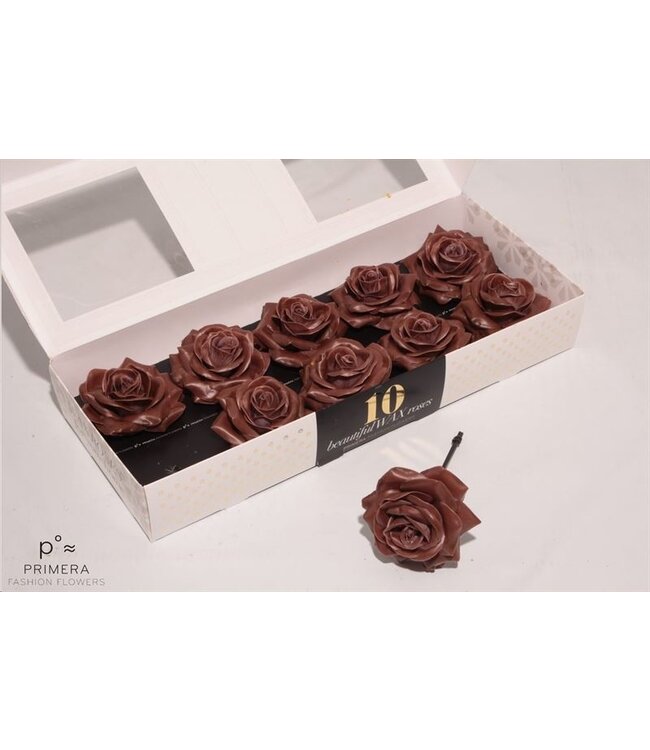 Chocolate-coloured silk wax roses | 10 pieces per box | Order per box