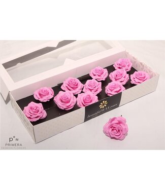 AD Pink silk wax roses | Size M | Per 12 pieces