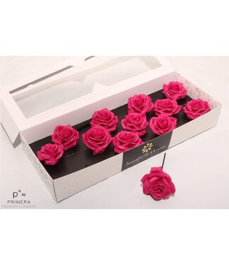 AD Christmas-coloured silk wax roses | Size M | Per 12 pieces