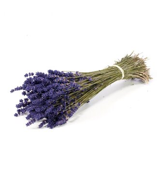 LDD Lavender 70-80gr extra natural blue ( x 40 )