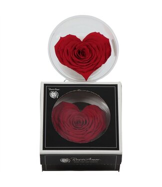 AD Rosa Preserved Heart Xxl Red 02 ( x 1 )