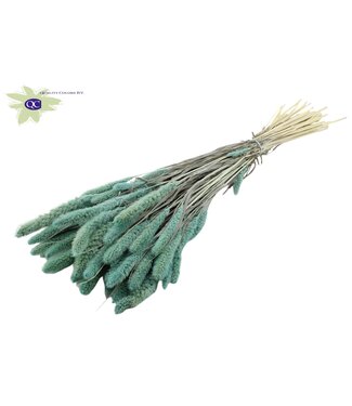 QC Setaria per bunch Intense Frosted Light Blue | Per 6 stuks