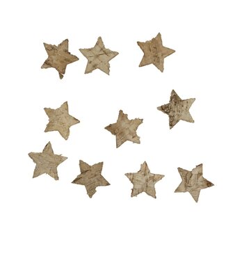 4A Kerst naturel Deco Berk ster 4.5cm x100 ( x 1 )