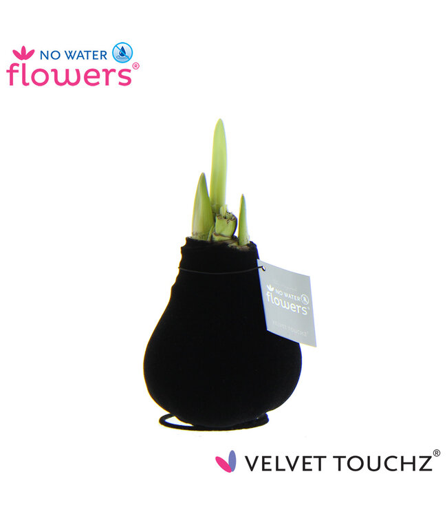 No Water Flowers Velvet Touchz® Black | Per 6 pieces