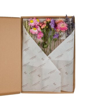 ME Droogbloemen-Flowers in Letterbox 30cm-Pink | Per 5 stuks