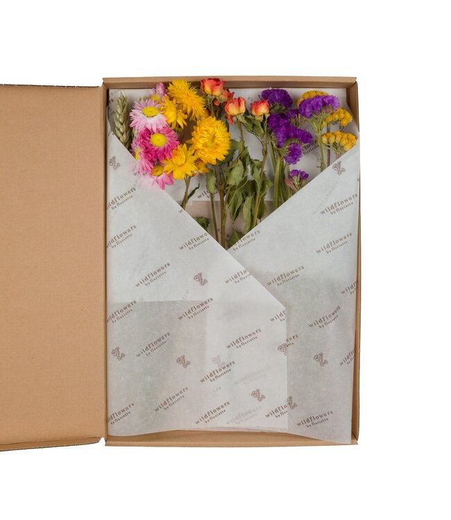 Trockenblumen-Blumen im Briefkasten 30cm-Multi | Pro 5 Stück