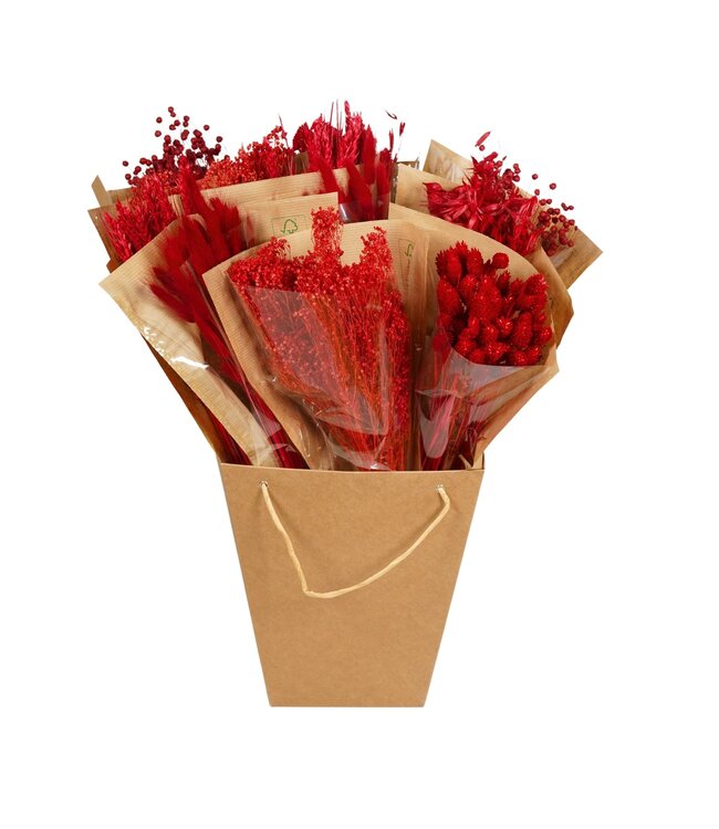 Droogbloemen-Dried Mono Mix 50cm-Red | Per 12 stuks