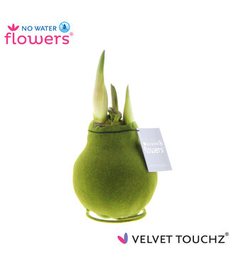 ME No Water Flowers Velvet Touchz® Moosgrün | Pro 6 Stück