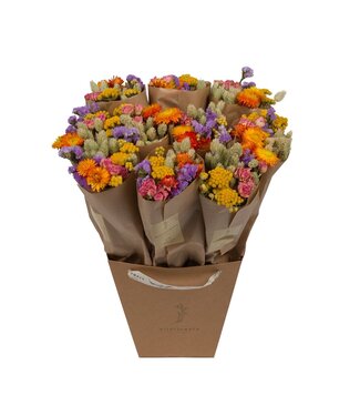 ME Droogbloemen-Market More 50cm - Multi | Per 10 stuks