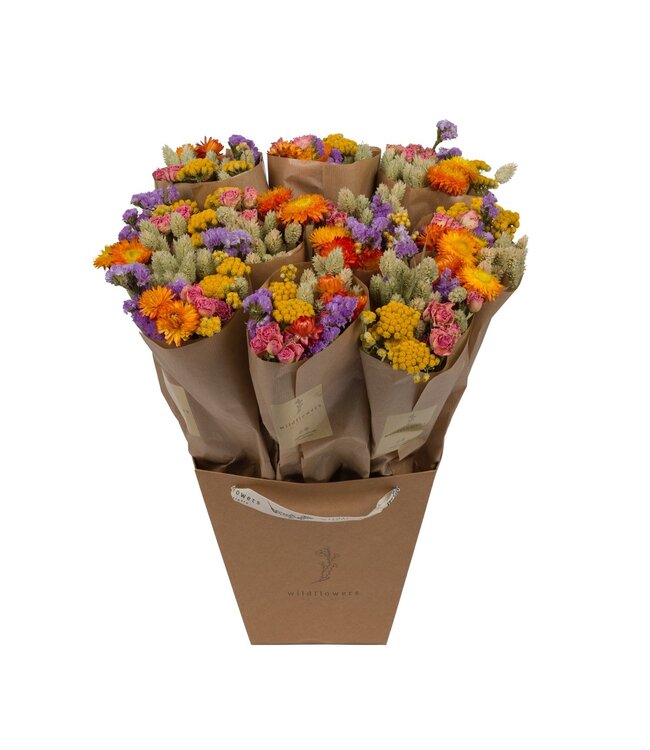 Droogbloemen-Market More 50cm - Multi | Per 10 stuks