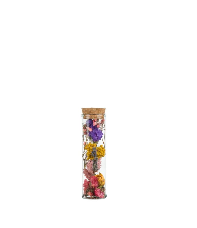 Dry Flowers-Wish Bottle Small 10cm-Multi | Per 12 pieces