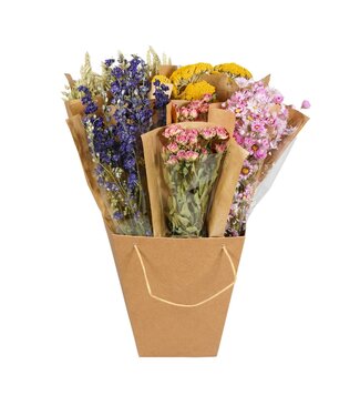 ME Droogbloemen-Dried Mono Mix 50cm-Dutch | Per 12 stuks