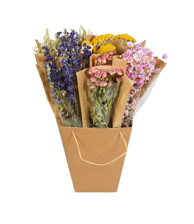 Droogbloemen-Dried Mono Mix 50cm-Dutch | Per 12 stuks