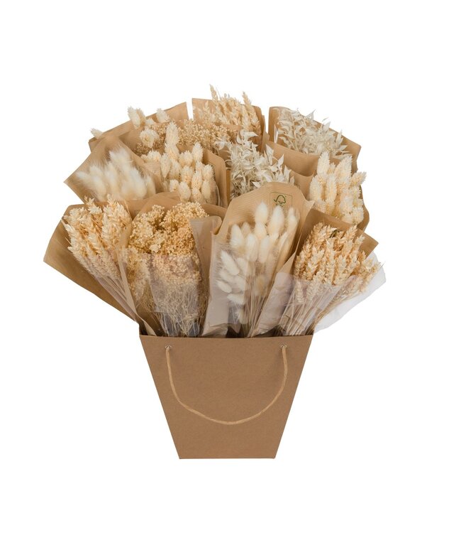 Dry flowers-Dried Mono Mix 50cm-White | Per 12 pieces