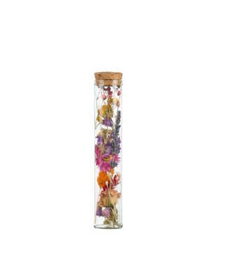 ME Droogbloemen-Wish Bottle Medium 15cm-Multi | Per 6 stuks