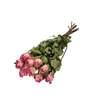 4A Hellrosa Trockenrosen | Rosen Trockenblumen | 10 Rosen pro Strauß | Länge 50 Zentimeter | Pro Strauß