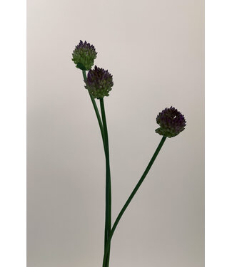 Silk Flowers by JJ Paarse Allium zijden bloem | Lengte 66 centimeter | Per stuk