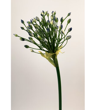 Silk Flowers by JJ Blauwe Allium zijden bloem | Lengte 70 centimeter | Per stuk