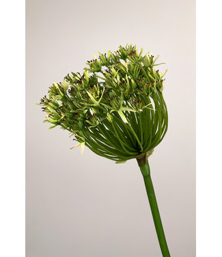 Silk Flowers by JJ Groene Allium zijden bloem | Lengte 66 centimeter | Per stuk