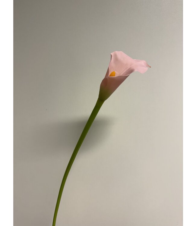 calla | roze | 50 centimeter | Per stuk te bestellen