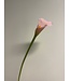 calla | roze | 50 centimeter | Per stuk te bestellen