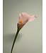 calla | roze | 50 centimeter | Per stuk te bestellen