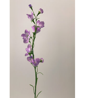 Silk Flowers by JJ campanula | paars | 66 centimeter | Per stuk