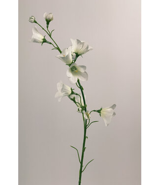 Silk Flowers by JJ Weiße Campanula Seidenblume | Länge 66 Zentimeter | Pro Stück