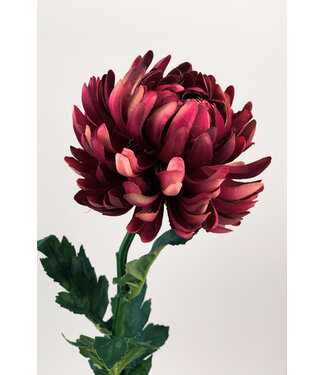 Silk Flowers by JJ Roze chrysant zijden bloem | Lengte  60 centimeter | Per stuk