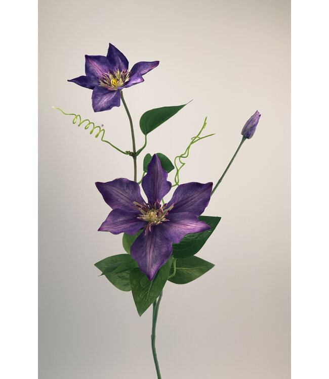 Lila Clematis Seidenblume | Länge 76 Zentimeter | Stückweise bestellt