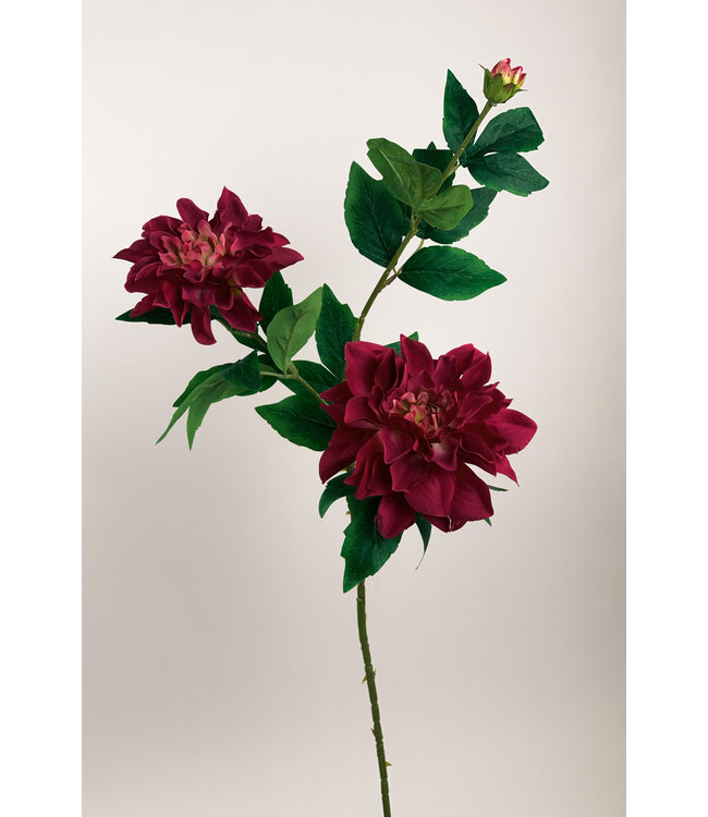 dahlia | rood | 90 centimeter | Per stuk te bestellen