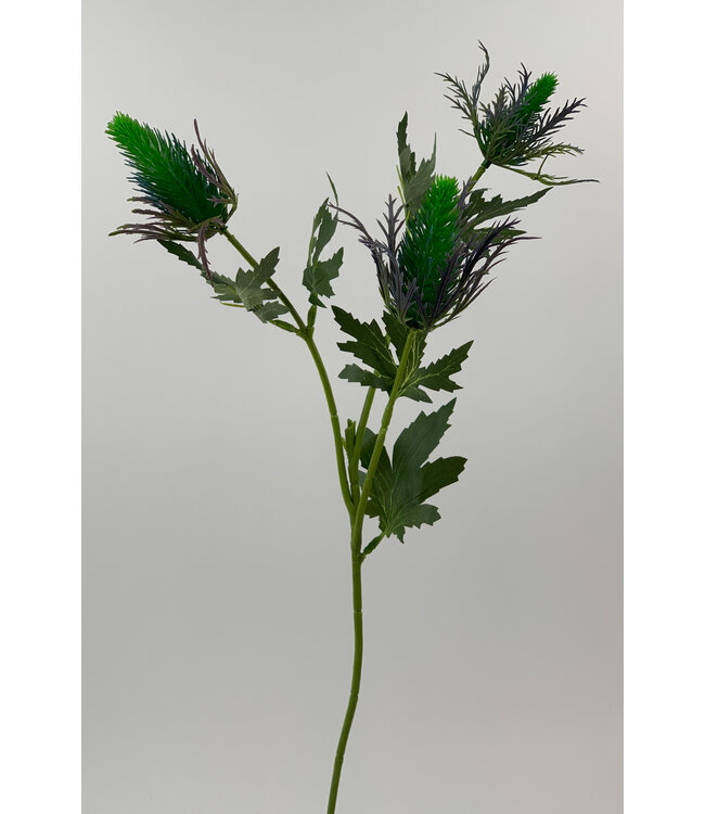 distel | blauw | 65 centimeter | Per stuk te bestellen