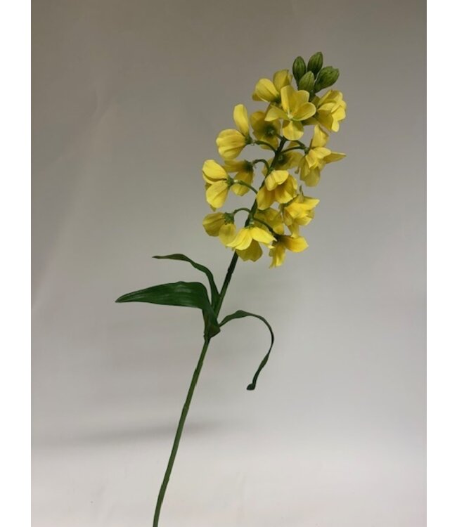 fritillaria | geel | 69 centimeter | Per stuk te bestellen